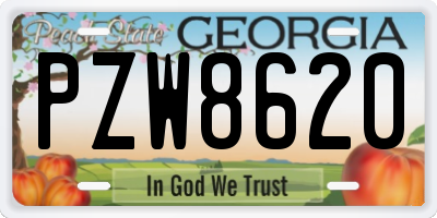 GA license plate PZW8620