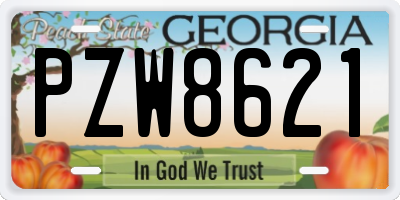 GA license plate PZW8621