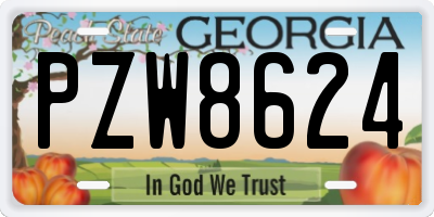 GA license plate PZW8624