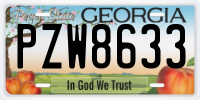 GA license plate PZW8633