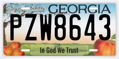 GA license plate PZW8643