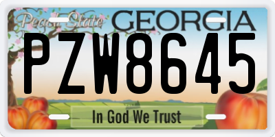 GA license plate PZW8645