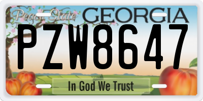 GA license plate PZW8647