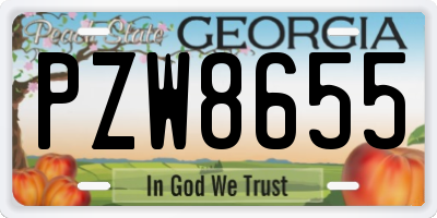 GA license plate PZW8655