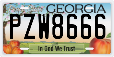 GA license plate PZW8666
