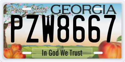 GA license plate PZW8667