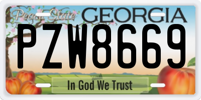 GA license plate PZW8669