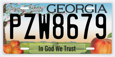 GA license plate PZW8679