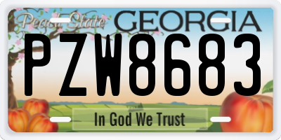 GA license plate PZW8683