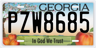 GA license plate PZW8685