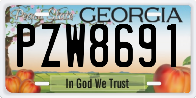GA license plate PZW8691
