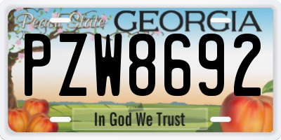 GA license plate PZW8692