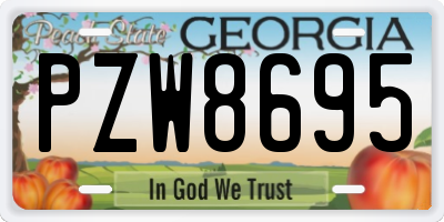 GA license plate PZW8695
