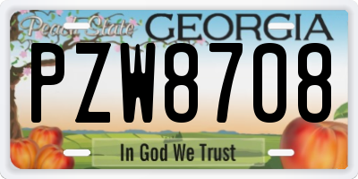 GA license plate PZW8708