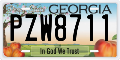 GA license plate PZW8711