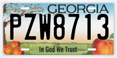 GA license plate PZW8713