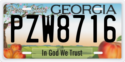 GA license plate PZW8716