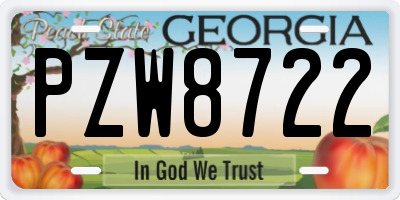 GA license plate PZW8722