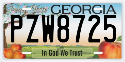 GA license plate PZW8725