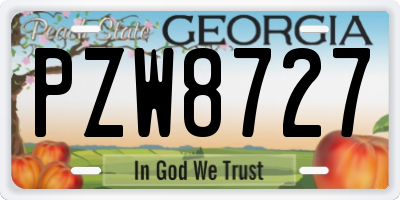 GA license plate PZW8727