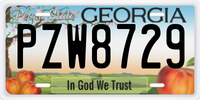 GA license plate PZW8729