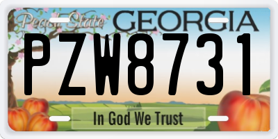 GA license plate PZW8731