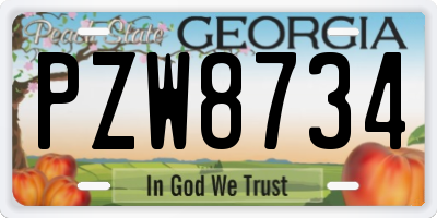 GA license plate PZW8734
