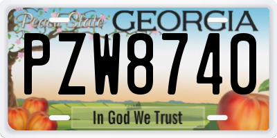 GA license plate PZW8740
