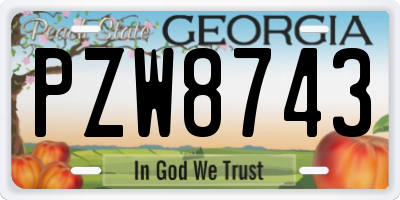 GA license plate PZW8743