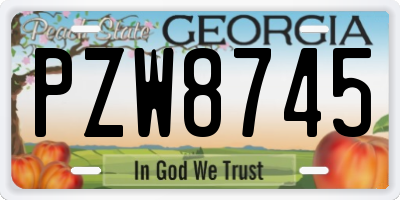 GA license plate PZW8745