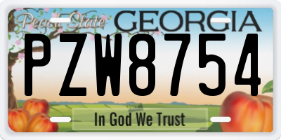 GA license plate PZW8754