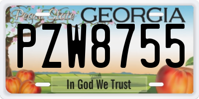 GA license plate PZW8755