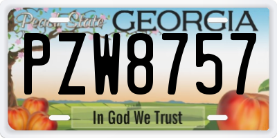 GA license plate PZW8757