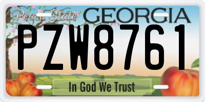 GA license plate PZW8761
