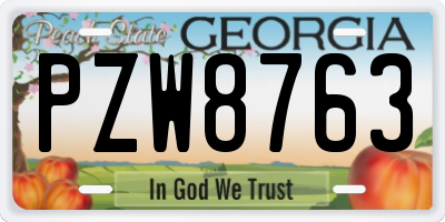 GA license plate PZW8763