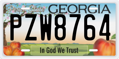 GA license plate PZW8764
