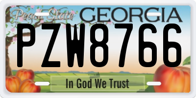 GA license plate PZW8766