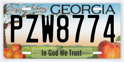 GA license plate PZW8774