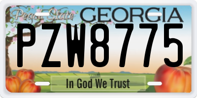 GA license plate PZW8775