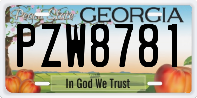 GA license plate PZW8781