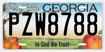 GA license plate PZW8788