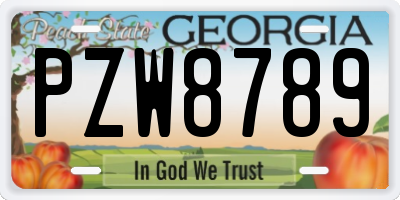 GA license plate PZW8789