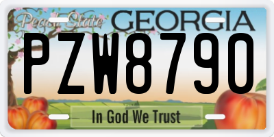 GA license plate PZW8790