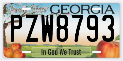 GA license plate PZW8793