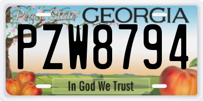 GA license plate PZW8794