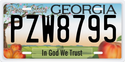 GA license plate PZW8795