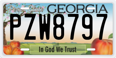 GA license plate PZW8797