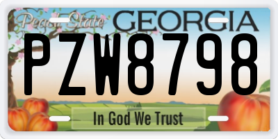 GA license plate PZW8798