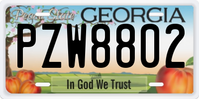 GA license plate PZW8802