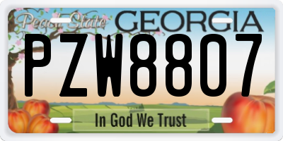 GA license plate PZW8807